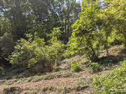 PXL_20260515_042456144