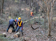 PXL_20260116_020101392