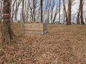 PXL_20260306_024253064
