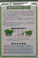 PXL_20260319_053021357