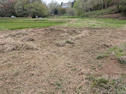 PXL_20260407_041834348