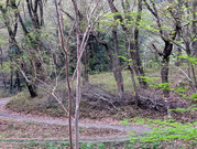 PXL_20260406_235751312