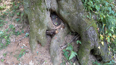 PXL_20250826_033946096