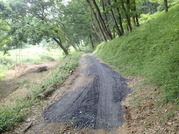 P5310012