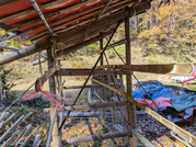 PXL_20251128_023625979