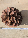 PXL_20260621_213628550