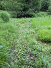 PXL_20260623_084149922