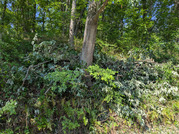 PXL_20260516_225201316