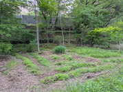 PXL_20260504_091026158