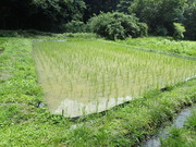 P6270035