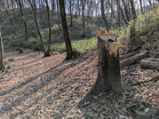 PXL_20260111_010928159