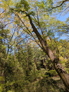 PXL_20260412_030229596