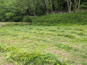 PXL_20260508_021954395