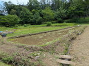 PXL_20260612_010637335