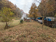 PXL_20251123_030200330