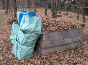 PXL_20251220_020227149