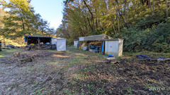 PXL_20251117_022006455