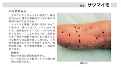 ●小鹿野町農産物栽培マニュアル