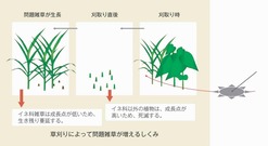 ●◎稲垣栄洋「草刈りは、やりすぎに注意」topic04-01