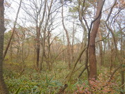 DSCN1051
