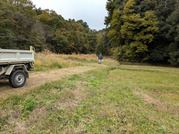 PXL_20251113_013336632.MP