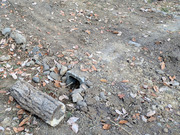 PXL_20251212_233518615