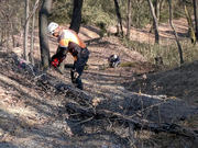 PXL_20260111_013938385