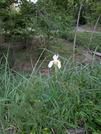 PXL_20260509_093336197