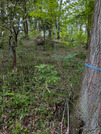 PXL_20260430_083134525