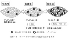 手引き（千葉県）
