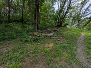 PXL_20260716_235241992