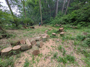 PXL_20260605_023659003