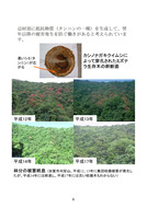 ナラ集団枯損被害と森林の変化（石川県）_09