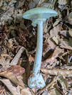 PXL_20260805_051706592