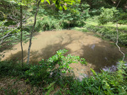 PXL_20260606_013113664