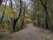 PXL_20251117_234040441