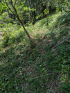 PXL_20260515_034755100