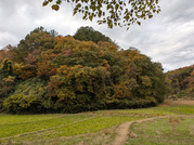 PXL_20251118_000941449