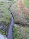 PXL_20260509_085300597