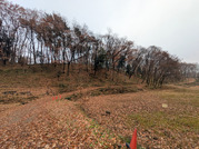 PXL_20251214_034735016