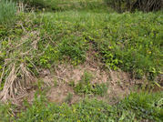 PXL_20260417_043110160