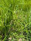 PXL_20260510_014210412