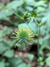 PXL_20260806_034738046
