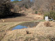PXL_20260304_012222889