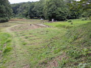 PXL_20260609_093105169