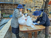 PXL_20251216_012647217