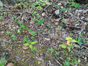 PXL_20260716_235553759