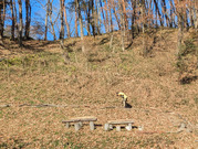 PXL_20251216_021104429