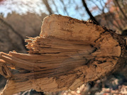 PXL_20251216_025502182