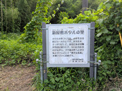 PXL_20260710_073052000